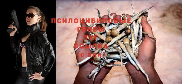 Альфа ПВП Козельск