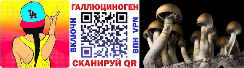 Псилоцибиновые грибы мицелий  Касимов 